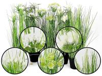 Opakowanie Trawa w doniczce 58cm MIX
