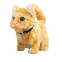 Opakowanie Twój pupilek Kotek brązowy