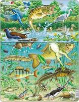 Opakowanie Układanka Europejski ekosystem stawów wodnych 50 elementów