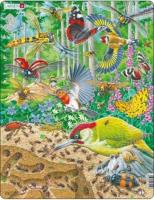 Opakowanie Układanka Gniazdo mrówek 40 elementów