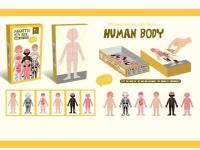 Opakowanie Układanka magnetyczna - ciało człowieka