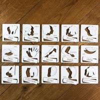 Opakowanie Układanka tematyczna - części ciała