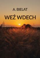 Weź wdech. Autor: Bielat Anna. SmakLiter.pl Okładka książki Weź wdech