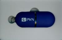 Opakowanie Wielki słownik języka polskiego PWN ze słownikiem wyrazów bliskoznacznych Pendrive