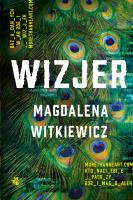 Wizjer - uszkodzone. Autor: Witkiewicz Magdalena. SmakLiter.pl Okładka książki Wizjer - uszkodzone