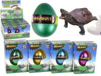 Opakowanie Wykluwające się magiczne jajko zółtwia 6cm