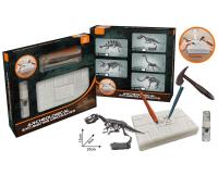 Opakowanie Wykopaliska paleontolog szkielet dino