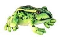Opakowanie Żaba 28cm