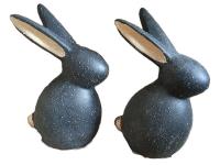 Opakowanie Zając nakrapiany