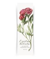 Zakładka duża - Dzielna kobieta. Wydawca: Szaron. SmakLiter.pl Opakowanie Zakładka duża - Dzielna kobieta