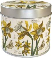 Zapachowa świeczka 236 żonkile - zapach cytrynowy. Wydawca: Skona Ting. SmakLiter.pl Opakowanie Zapachowa świeczka 236 żonkile - zapach cytrynowy