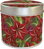 Zapachowa świeczka jabłko Święta Bożego Narodzenia. Wydawca: Skona Ting. SmakLiter.pl Opakowanie Zapachowa świeczka jabłko Święta Bożego Narodzenia