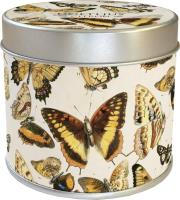 Zapachowa świeczka motyle - zapach cytrynowy. Wydawca: Skona Ting. SmakLiter.pl Opakowanie Zapachowa świeczka motyle - zapach cytrynowy