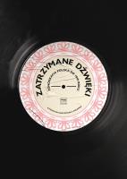 Zatrzymane dźwięki. Autor: Janczewska-Sołomko Katarzyna. SmakLiter.pl Okładka książki Zatrzymane dźwięki