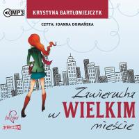 Okładka książki Zawierucha w wielkim mieście audiobook