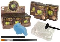 Opakowanie Zestaw archeologiczny monety