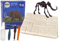 Opakowanie Zestaw archeologiczny Wykopaliska Szkielet 21cm