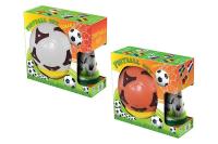 Opakowanie Zestaw sportowy piłka nożna z pachołkami