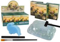 Opakowanie Zestaw wykopaliska Skorupy muszle