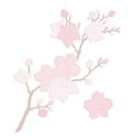 Zestaw wykrojników - Gałazka i kwiat magnolii 2szt. Wydawca: Dalprint. SmakLiter.pl Opakowanie Zestaw wykrojników - Gałazka i kwiat magnolii 2szt