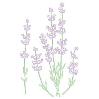 Opakowanie Zestaw wykrojników - Lawenda 4szt