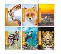 Zeszyt A4/36K linia Be More Wild (10szt). Wydawca: Koh-I-Noor. SmakLiter.pl Opakowanie Zeszyt A4/36K linia Be More Wild (10szt)