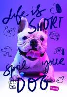 Opakowanie Zeszyt A4/60K kratka Basic mix (10szt) MAR MAR