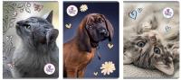 Opakowanie Zeszyt A4/60K kratka The Sweet Pets (5szt)