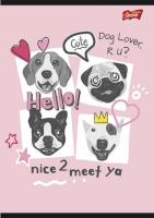 Zeszyt A4  w trzy linie 32 kartki 15 sztuk. Wydawca: St. Majewski. SmakLiter.pl Opakowanie Zeszyt A4  w trzy linie 32 kartki 15 sztuk