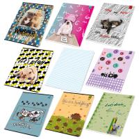 Opakowanie Zeszyt A5 16 k. w kratkę Best Friend paczka 20 szt.