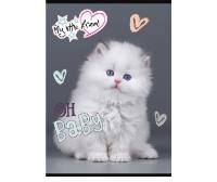 Opakowanie Zeszyt A5 16k 3-linia kolorowa my little friend mix pakiet 15 szt.