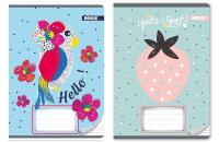 Opakowanie Zeszyt A5/16K linia Dziewczynka (20szt)