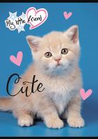 Opakowanie Zeszyt A5 32k 3-linia kolorowa MY LITTLE FRIEND mix 1szt.