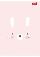 Opakowanie Zeszyt A5 32K trzylinia dwukolorowa CUTE FACE PAKIET 15 SZTUK