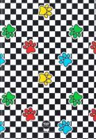 Opakowanie Zeszyt A5 60k kratka Coolpack Catch Me