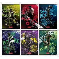 Opakowanie Zeszyt A5 60k kratka Herlitz sport pakiet 5 sztuk