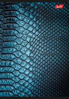 Opakowanie Zeszyt A5 60K linia AFTER DARK PAKIET 10 SZTUK