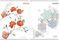 Opakowanie Zeszyt A5/60K linia Priplak (5szt)