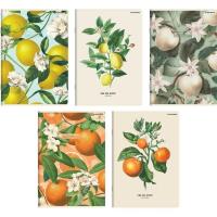 Opakowanie Zeszyt A5/60K linia Summer (10szt) TOP2000