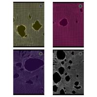 Zeszyt A5/80K kratka Tear (5szt). Wydawca: Ziemia Obiecana. SmakLiter.pl Opakowanie Zeszyt A5/80K kratka Tear (5szt)