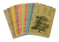 Zeszyt A5 80K linia By Nature - Forrest pakiet 10 sztuk mix. Wydawca: Elanders. SmakLiter.pl Opakowanie Zeszyt A5 80K linia By Nature - Forrest pakiet 10 sztuk mix