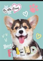 Zeszyt A5 w trzy linie 16 kartek My little friend 15 sztuk mix. Wydawca: St. Majewski. SmakLiter.pl Opakowanie Zeszyt A5 w trzy linie 16 kartek My little friend 15 sztuk mix