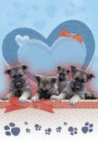 Opakowanie Zeszyt w linie. Pieski