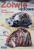 Żółwie lądowe. Autor: Dorota Boruszkowska. SmakLiter.pl Okładka książki Żółwie lądowe