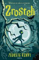 Zrostek. Autor: Pádraig Kenny. SmakLiter.pl Okładka książki Zrostek