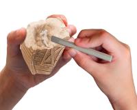 Zwierzę z gospodarstwa rolnego 1 szt. mix. Wydawca: Piatnik. SmakLiter.pl Opakowanie Zwierzę z gospodarstwa rolnego 1 szt. mix