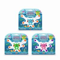 Aksolotl biegacz okienny 1szt.mix. Wydawca: TRENDHAUS. SmakLiter.pl Opakowanie Aksolotl biegacz okienny 1szt.mix