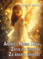 Okładka książki Anioły i Nowa Rasa. Życie po śmierci. Za bramą...