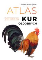 Atlas kur ozdobnych. Wybór. Hodowla. Rasy. Autor: Moszczyński Paweł. SmakLiter.pl Okładka książki Atlas kur ozdobnych. Wybór. Hodowla. Rasy