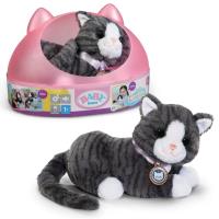 Baby born - My Cat Cookie. Wydawca: Zapf. SmakLiter.pl Opakowanie Baby born - My Cat Cookie